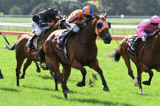 Melody Belle (NZ) claiming her fifth G1 victory in the Haunui Farm WFA Classic at Otaki. Photo Cred: Race Images PNth